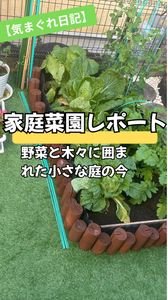 野菜と木々に囲まれた小さな庭の今｜家庭菜園レポート
